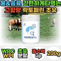 초유 모유 단백질 락토페린 유산균 WPC WPI 분리유청 농축유청 가루 분말 파우더 쉐이크 고단백질 밀크 우유 칼슘 프로틴 protein 운동 전 후 아침 저녁 식사 대용 보충제, 1통