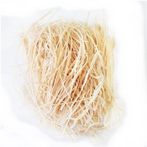 바다모아 국내가공 오징어실채 오징어채 500g, 1개