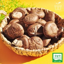 장흥 표고 버섯 생표고버섯 특품, 09. 장흥 생표고버섯 4kg 특, 1개