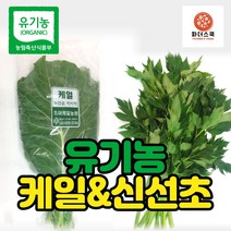 유기농 케일 신선초 친환경 녹즙재료 녹즙용 채소 클랜즈 주스용 샐러드용 농장 산지직송, 유기농신선초1kg, 2개