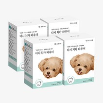 코코다움 다시 치카 파우더 강아지 구강 치주염 치석 입냄새 영양제, 4박스 (3+1구성)