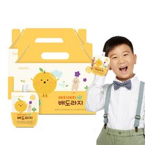 어린이 에치에치 배도라지즙 40ml 30개입 2박스, 어린이 에치에치 배도라지즙 40ml 30개입  2박스