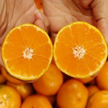 미네픽 [미네픽] 과즙팡팡 제주 하우스 감귤 3kg