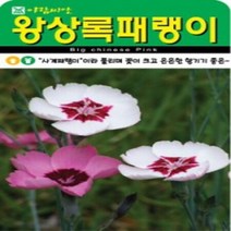 AR 왕 상록패랭이 중포장 큰 씨앗