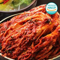 푸름농수산 국내산 갓 담근 매콤 실비김치, 5kg, 1개