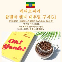 라이프빈 에티오피아 함벨라 벤티 내추럴 구지 G1, 200g, 핸드드립/커피메이커