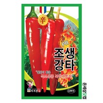 조생강타 1200립 / 고추씨앗 고추씨 풋고추 고추종자