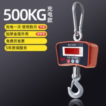 소형 산업용 대달림 저울 호이스트 1톤 크레인 이동식, 500kg개