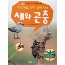 웅진북센 우리하늘 우리숲에 사는 새와곤충 재미있는교과서생태계여행