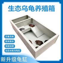 플라스틱 벨트 테라스 페닌슐라쿠터 거북이 청거북