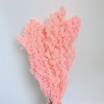 음식모형제작 자연 건조 보존 풍래 영원한 아스파 미리오클라두스 꽃다발, 4.pink