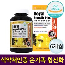 식약처인증 프로폴리스 고함량 플라보노이드17mg 항산화 캐나다산 환절기 건강 부모님 과도한업무 직장인 운동선수 공부하는 학생 주부 에너지 생성 노화예방 항산화제 피부 모발 입속