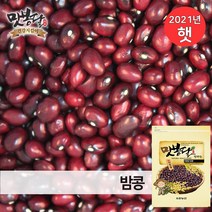 인기 울타리밤콩 추천순위 TOP100 제품 목록