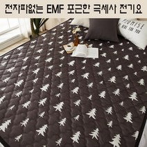 대호플러스 더안 빨아쓰는 캠핑 초절전 전기장판 1인용 2인용 더블 퀸사이즈 휴대용 전기요 워셔블 원난방 캠핑용전기매트, 100x180