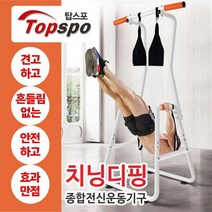 탑스포츠 멀티치닝디핑 딥프레스 평행봉 딥스, 전문형화이트
