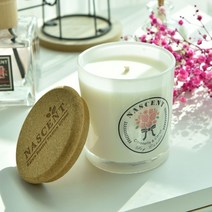 네이센트 아로마 7oz 소이캔들 리드캔들 라벤더 자스민캔들 방향제 향초, 08.나무심지_화이트자스민&민트, 1개