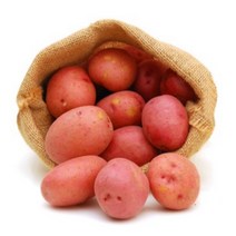 디카운티 감자 홍감자 국내산 속노란 카스테라 햇감자 최상품 해남 빨간감자 3kg 5kg [씨감자용], 2개