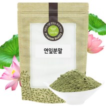 연잎 분말 가루 300g 국산 국내산, 단품