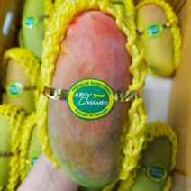 항공직송 골드망고 무지개망고 태국망고 2kg/3kg/5kg 온어프레시, 무지개망고 3kg(5-9과), 1개