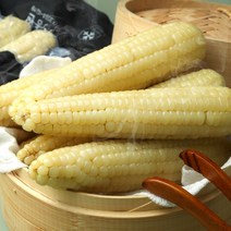 제철수확 후 냉동 태양찰옥수수 특품 3입x5봉(15개), 냉동 태양찰옥수수 3입x5봉(15개)