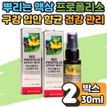 구강 목 항균 칼칼 따름 건강 에좋은 청결 입냄세 제거 뿌리는 액상 비 프로폴리스 스프레이 PROPOLIS 환절기 면역 항산화 혀갈라짐 에도움 수험생 직장인 남성 여성 2개월