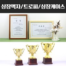 A4 미니 상장 케이스 액자 트로피 운동회 우승컵, 선택04)미니트로피16cm