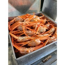 탐라인 선주직송 당일조업 포항 구룡포 자숙홍게 수율보장 박달급 3kg(10미내외), 1박스, 3kg