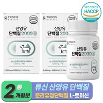 분리유청단백질 WPI 식약청 인증 산양유 단백질 류신단백질 먹기편한 정타입 락토프리 류신 타블렛 카제인 근육 프로틴 보충제 필수아미노산 BCAA (+사은품증정), 30정 x 2개 (2개월)