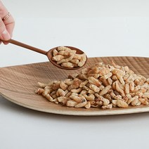 [오늘약방] 국산100% 특품 맥문동 거심, 500g