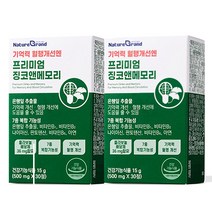 프리미엄 징코 빌로바 은행잎추출물 영양제 혈행 기억력 개선 식약처인증, 2박스, 30정