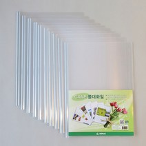 도리미 반 투명 둥근 쫄대화일 10개입 홀더 파일, 1개