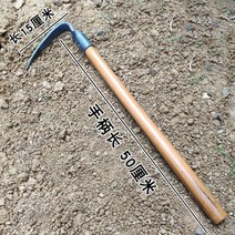 작은 괭이 가정용 채소 심기를위한 갈퀴 단조 원예 풀기 파기 및 제초 농업 도구 3 치아 곡괭이 꽃, 50 롱 핸들 뾰족한 괭이