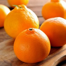 제이블릭 제주 황금향 2kg 3kg 5kg 선물포장 당도보장 농장직송 레드향 카라향 홍매향 홍미향 고당도 15브릭스 선물용 가정용 연말선물 명절선물 설선물 임신 임산부 부모님 선물, 제주 황금향 고급선물용 5kg