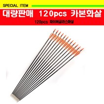 120pcs파이버글라스화살 화살 대량판매