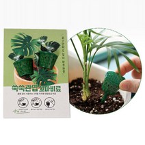 FAW729616화분에 꼽아쓰는 비료 2입 관엽식물 몬스테라 아이비