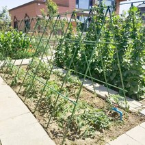 넝쿨 지지대 오이망 그물망 덩쿨 넝쿨 오이 수세미, 지름 11mm (길이 120cm) 10개, 1개