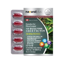 내츄럴플러스 바나바잎 추출물 60정 5박스 식후 혈당상승 억제