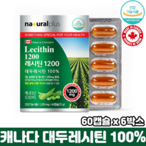 캐나다 레시틴 식물성 인지질 식약처인증 순수 대두레시틴 100% 혈중 콜레스테롤 개선, 6박스, 60캡슐