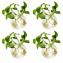 NUPTIO 벽걸이 화분 유리 테라리움 원형 6개 물 심기 꽃병 공기 식물 용기 지름 10.2cm4인치 USA 미국, 4 Pcs