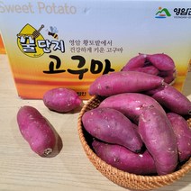 영암명품 소담농원 꿀단지 황금꿀고구마 3 5 10kg 베니하루까, 꿀단지황금꿀고구마3kg 한입통통