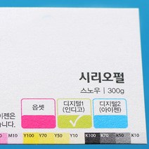 맞춤명함제작 명함제작 고급명함 디자인무료, 다_수입지 시리어펄스노우 양면 200장