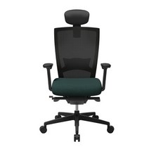 시디즈 의자 T50 업그레이드 2023년형 TNE500HLDA 사무용 의자 학생 의자 서울대 의자, 딥그린