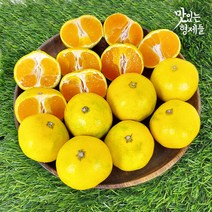 제주 서귀포 하우스귤 감귤 제주도 귤 밀감 3 5 10kg, 1박스, 5kg 소과(2S-S)