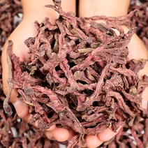 브랜드없음 [미네픽] 빨간빛 잘말린 월악산 할배의 건비트 500g, 단품없음
