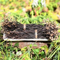 온유네 국산 햇 고사리 지리산 말린 건고사리 100g, 100g[일반농산물], 1개