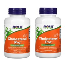 나우푸드 소나무 피토스테롤 400mg ﻿베르가모트 250mg 120정 2통