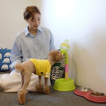 강아지물통 스탠드 높이조절 물병애견급수기 7종, 1개, 그레이