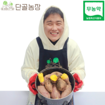 산지직송 해남 친환경 무농약 유기농 고당도 스테비아급 고구마 베니하루카, 10kg/한입/개당 50g이하