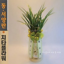 치타플라워 동양란 무늬난 [CD05-002] 승진 개업 축하 난 동양난 영전 취임 생일 선물 화분 고급 란 전국 당일 배송 꽃배달