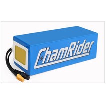 전기자전거 전동 킥보드 배터리 36V 48V 리튬, 36V20.3AH Samsung29E)